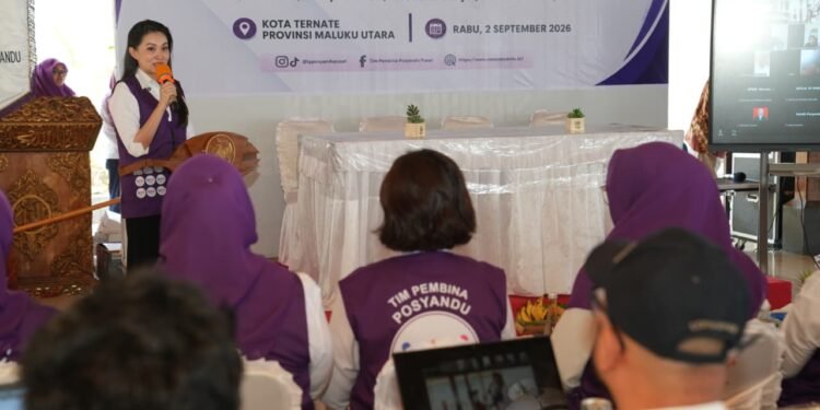 Pemprov Maluku Utara dan Tim Pembina Posyandu Pusat Sosialisasikan Registrasi Posyandu untuk Perluas Layanan SPM